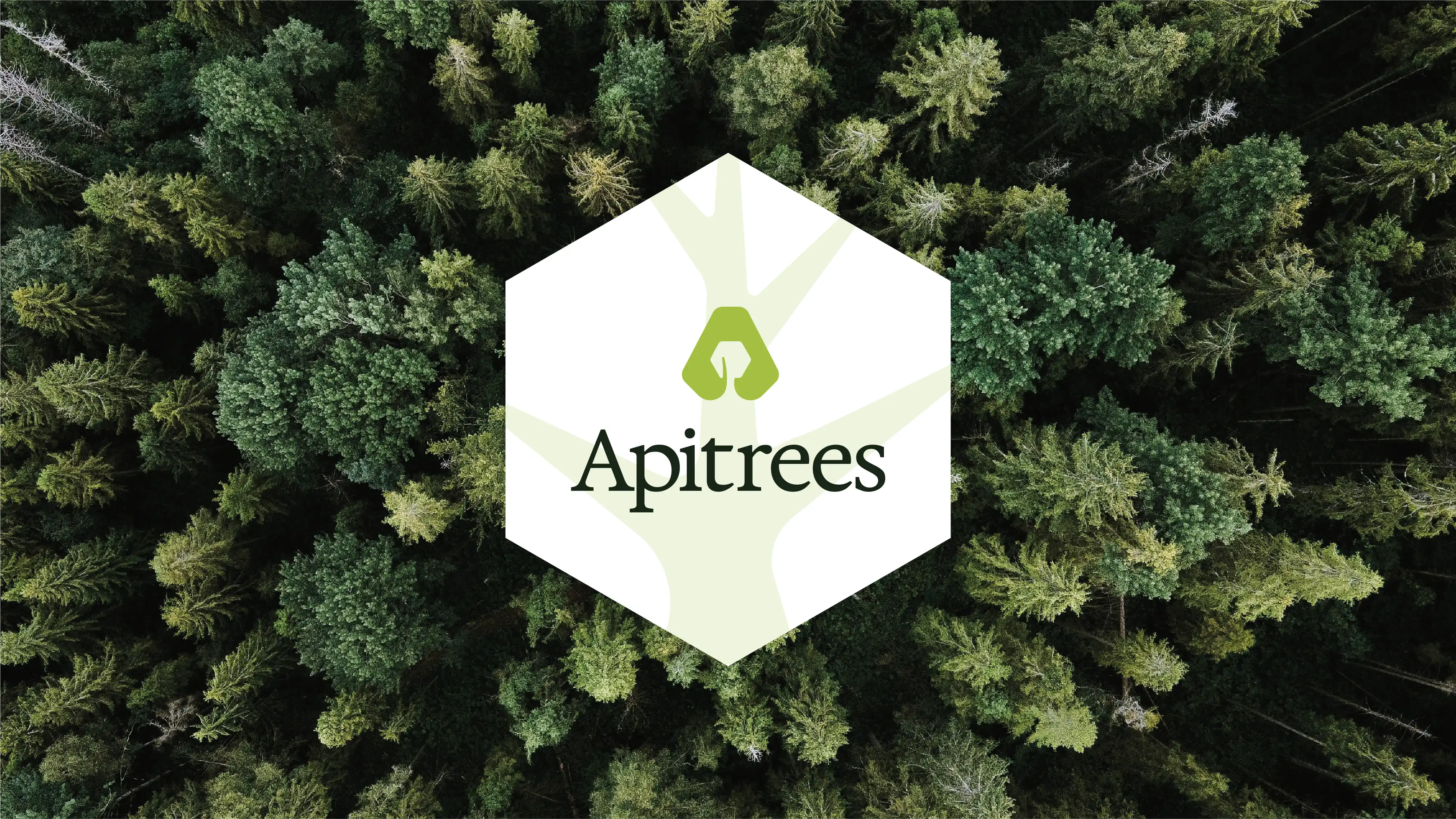 Apitrees preview